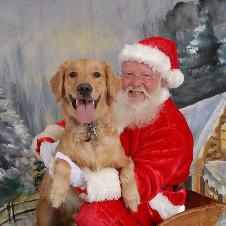 Pictures With Santa Pet Wants Rehoboth Beach